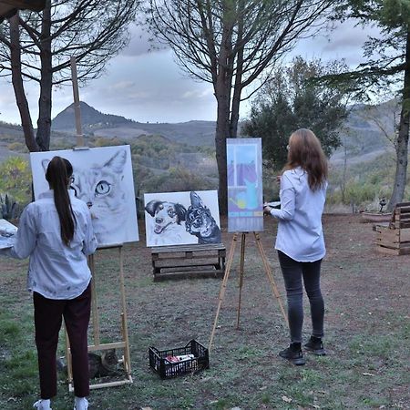 Podere San Francesco Bed & Breakfast โวลแตร์รา ภายนอก รูปภาพ