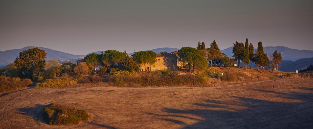 Podere San Francesco Bed & Breakfast โวลแตร์รา ภายนอก รูปภาพ